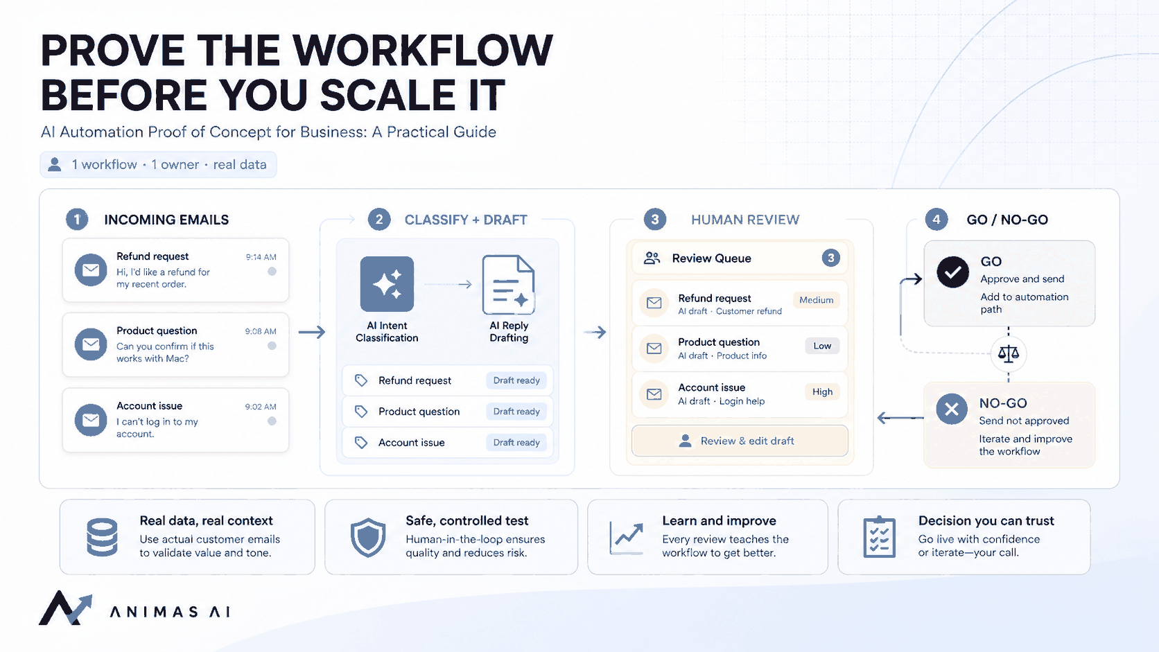 Premium Animas AI cover for ai automation proof of concept for business.